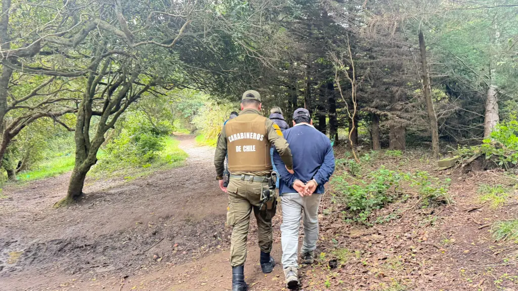 Detención en Tumbes, Carabineros de Chile