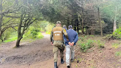 AHORA | Detienen a hombre por sustracción de madera de árboles nativos en Parque Tumbes