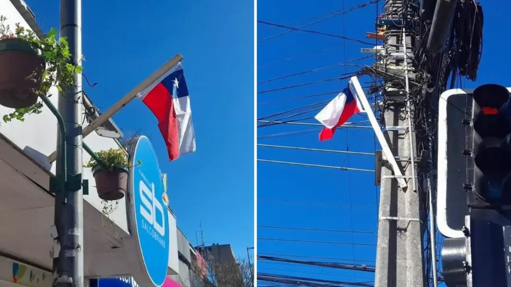 Banderas en Los Ángeles, La Tribuna