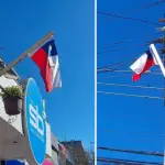 Banderas en Los Ángeles, La Tribuna