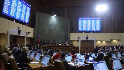 Cámara aprueba por unanimidad investigar actuaciones del Gobierno por pérdidas del multifondo E