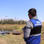 El estudio permitirá conocer mejor las aguas subterráneas de la cuenca del río Biobío y evaluar su potencial de aprovechamiento sustentable, MOP