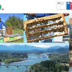 Santa Bárbara: miel, naturaleza y patrimonio entre los atractivos de la comuna, Diario La Tribuna