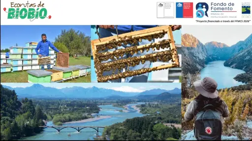Santa Bárbara: miel, naturaleza y patrimonio entre los atractivos de la comuna