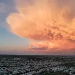 Tormenta eléctrica, Fredy Muñoz