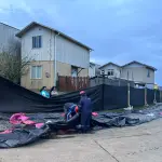 Preparación por probable remoción en masa, DPP Arauco