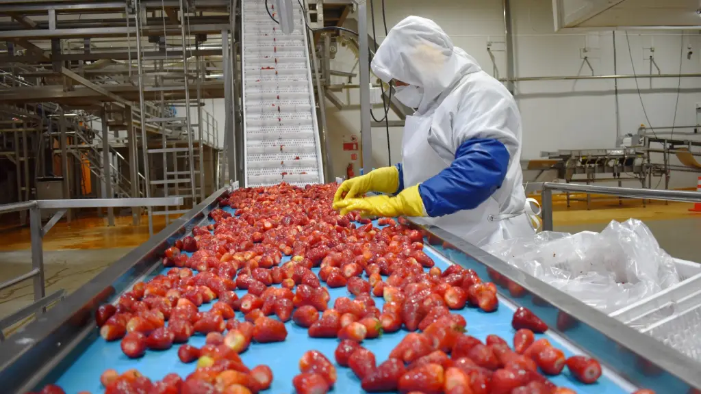 Las plantas de procesamiento agroindustrial transforman frutas y hortalizas nacionales para su exportación a mercados globales, rubro que abarca el 45% de la superficie frutícola del país y proyecta exportaciones récord en 2026.