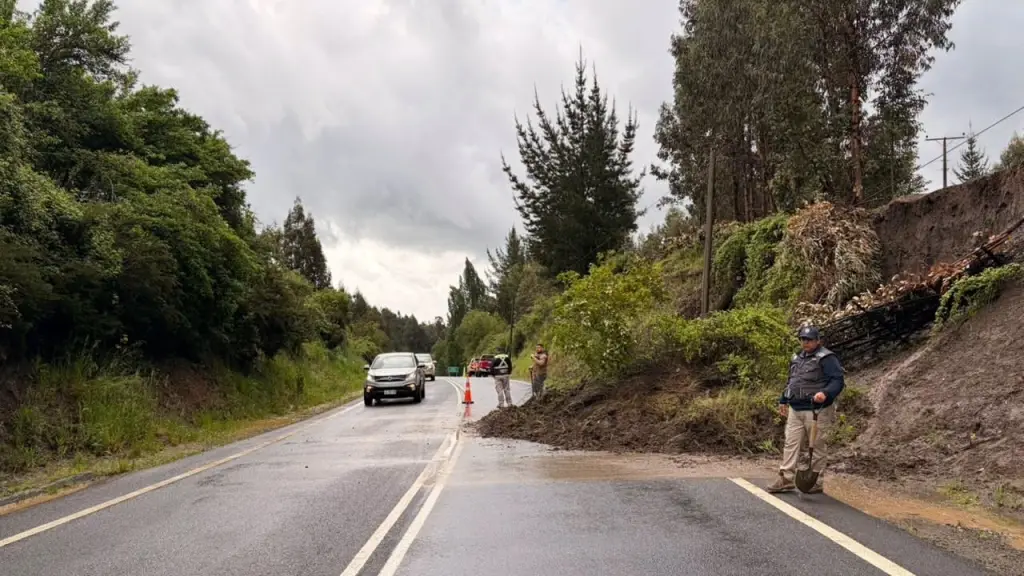 Ruta 156 de la Madera , Municipalidad de Nacimiento