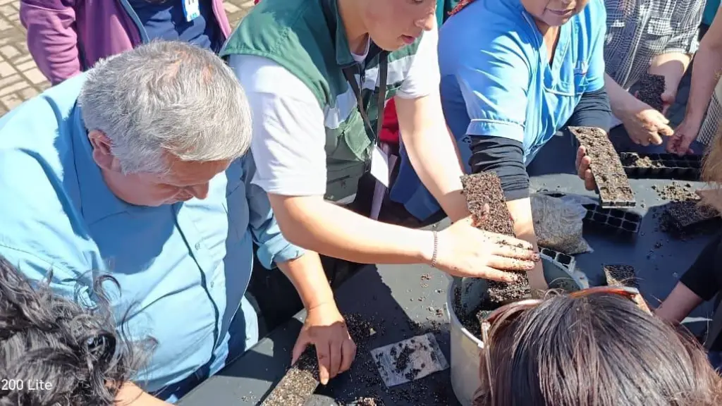 Agricultura y cosmovisión mapuche: Estudiantes de Ingeniería Agrícola lideran taller de almácigos en Trafkintu de Los Ángeles | Santo Tomás Los Ángeles