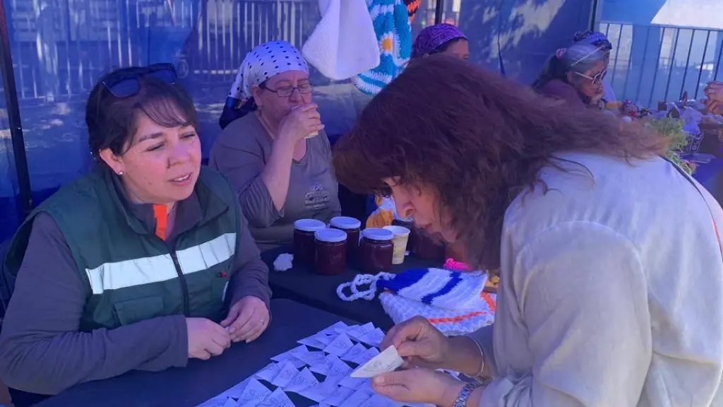 Agricultura y cosmovisión mapuche: Estudiantes de Ingeniería Agrícola lideran taller de almácigos en Trafkintu de Los Ángeles | Santo Tomás