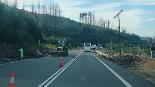 Retiran troncos y ramas que afectaron el tránsito en la Ruta de la Madera